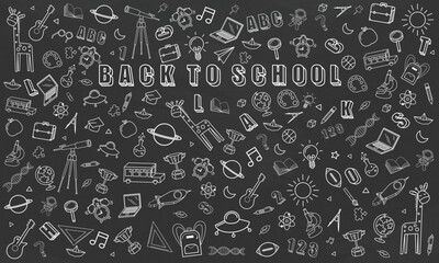 Concept of education School background chalkboard with different stuff. Welcome back to school design vector.