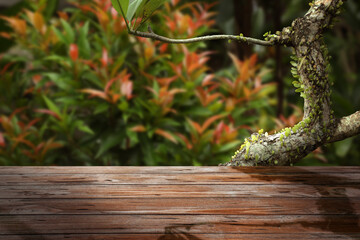 Wooden table in jungle. Empty surface against tropical plant. Poster with space for design