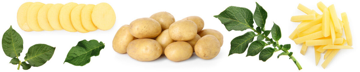 Fresh raw potatoes with green leaves isolated on white, collage
