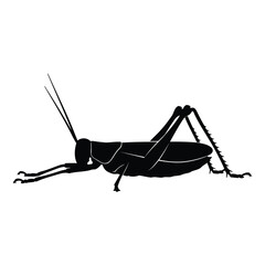 Vector art of silhouette of a grasshopper