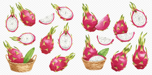 A collection of watercolor illustrations of whole and sliced pink dragon fruit, some displayed in woven baskets.