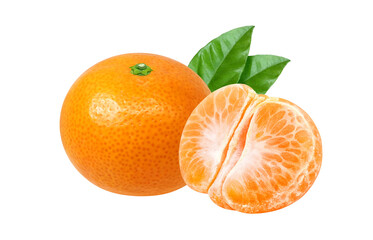 みかんのイラスト リアル ミカン