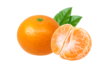 みかんのイラスト リアル ミカン