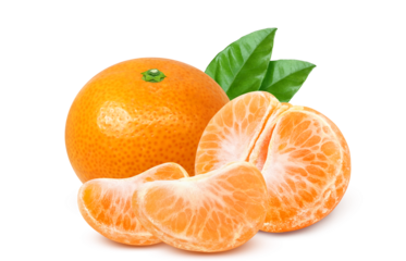 みかんのイラスト リアル ミカン