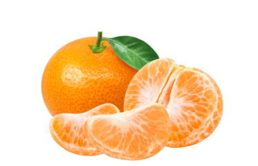 みかんのイラスト リアル ミカン