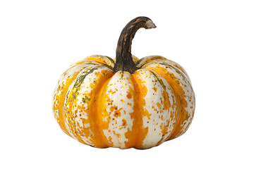 Decorative mini pumpkin, autumn harvest