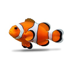 Clownfish A vibrant marine creature with captivating colors and distinctive markings