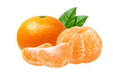 みかんのイラスト リアル ミカン