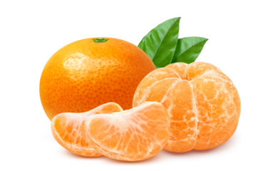 みかんのイラスト リアル ミカン