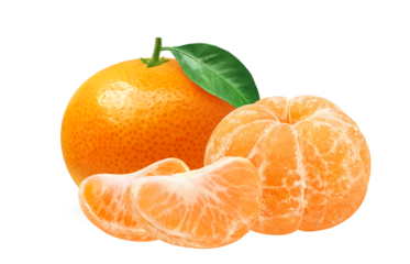 みかんのイラスト リアル ミカン