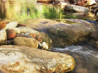 Fototapeta premium Water flowing in the Virgin River, reflecting the golden color of the surrounding Navajo sandstone cliffs and green riverine forest in Zion National Park in Utah