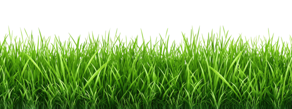 Lush green grass blades