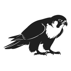 Fototapeta premium Vector art of black and white illustration of a falcon