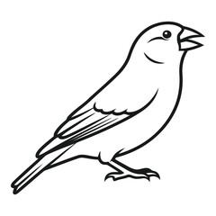 Vector art of line art of a bird