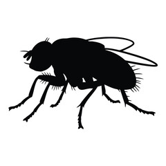 Vector art of silhouette of a fly