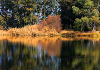 Fall - Spain, Extremadura Region, The Guadiana River and nature reserve near Merida in Autumn colours.