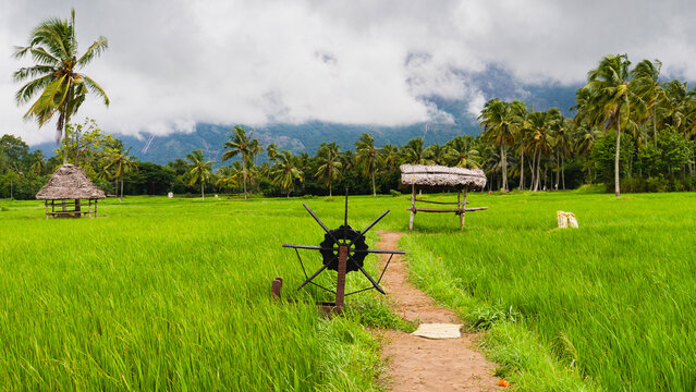 Beautiful view of lush green paddy fields with traditional thatched farmer huts and a wooden water wheel at Kollengode village, Kerala, India. Scenic countryside misty mountains in the background.