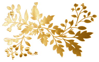 PNG Christmas mistletoe pattern plant leaf.