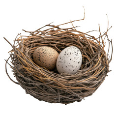 Obraz premium Bird Nest with Two Speckled Eggs wildlife isolated on a transparent background