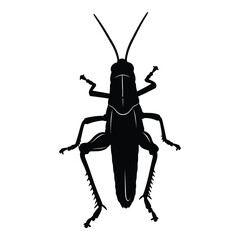 Vector art of grasshopper silhouette
