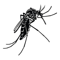 Vector art of mosquito