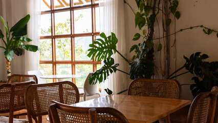 Empty chairs and table at cafe, nobody