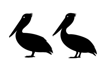 Silhouette of pelican bird waterfowl