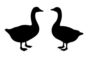 goose bird domestic farm animal silhouette 