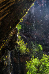 Water dripping from a overhang forming a small waterfall, at Weeping Rock in Zion National Park, Utah