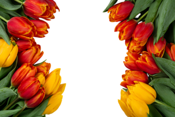 bouquet of tulips