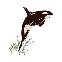 Dynamic Orca Killer Whale Leaping from Water with Splash, Stylized Artistic Representation of Marine Mammal