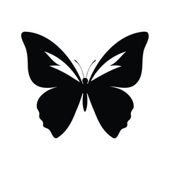 Elegant black and white butterfly with unique markings displayed on a white background, butterfly wings symmetrical silhouette vector illustration