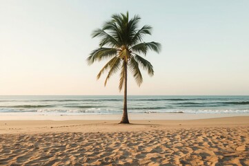 Lone palm tree on tranquil beach at sunrise, ocean waves background, tropical travel