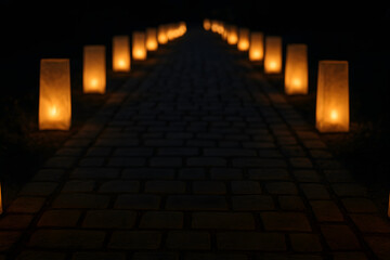 Chemin Lumineux Nocturne