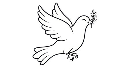 Isolated Dove