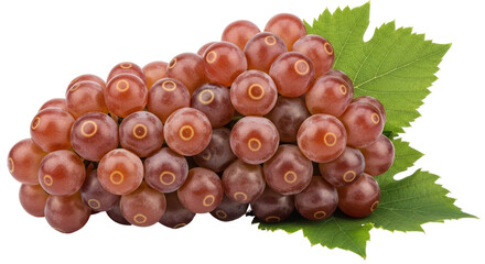Isolated Red grapes