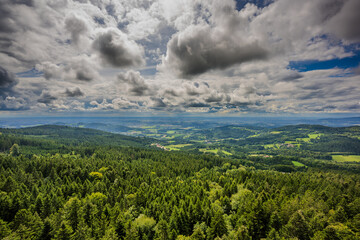 Obraz premium Weite Aussicht über einen Wald im Sommer mit dramatischen Wolken am Himmel