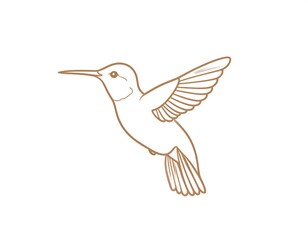 Fototapeta premium Simple line drawing of a hummingbird in flight (3)