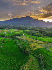 Fototapeta premium Wonderful sunrise scenery indonesia nature mountain valley forest with bright sky