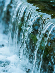 Heavy-duty semi-truck transporting large tree logs for lumber processing and industrial use