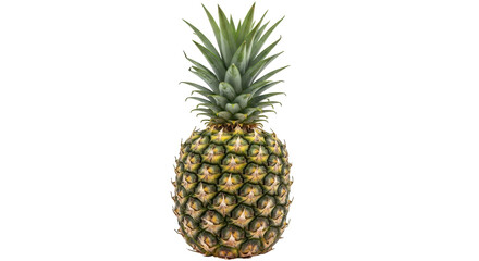 Fototapeta premium Isolated Pineapple