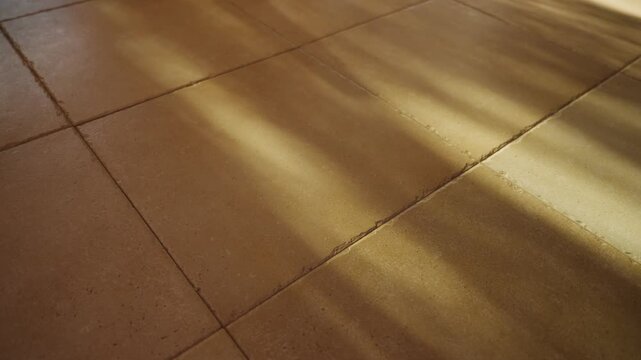 Dappled light from sun shining on floor tiles inside home or apartment. Afternoon warm yellow and orange light enters from outside. Defocused dapples of tree pattern and leaves branches abstract