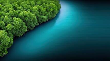 Lush Mangrove Forest Meets Azure Water