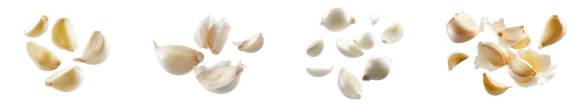 Sets of garlic