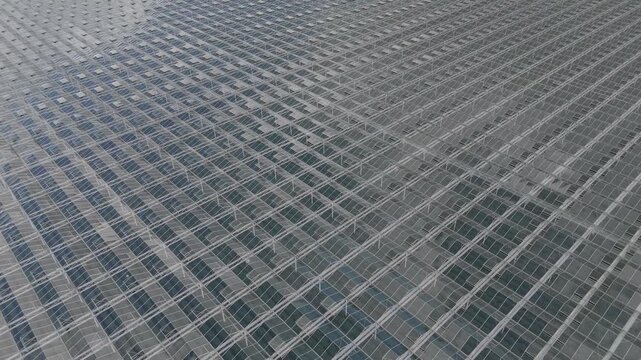 Forward Drone Flight Over Greenhouses