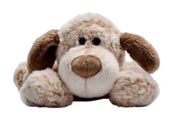 Adorable plush puppy toy  isolated on white background