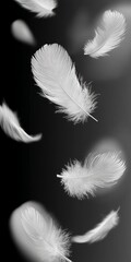 Obraz premium White Feathers Floating in a Serene Black and White Setting