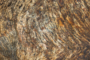 Repeating pattern of brown, tan and yellow stripes on sedimentary rock, Cap-Rouge beach, Quebec City, Québec, Canada