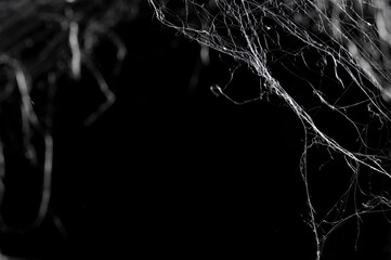 Halloween Spider Web,Creepy white cobweb on a dark background. space for text