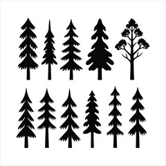 Obraz premium Collection of black pine tree silhouettes on white background fir tree evergreen